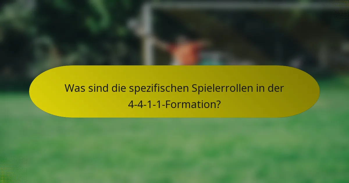 Was sind die spezifischen Spielerrollen in der 4-4-1-1-Formation?